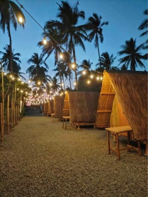 Patar Palms